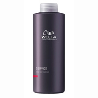 ՎԵԼԼԱ ՊՐՈՖԵՍԻՈՆԱԼՆԵՐԸ CARE - WELLA